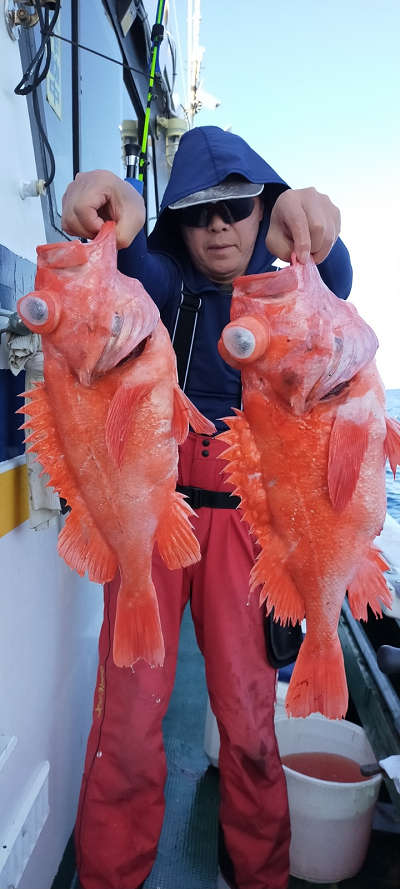 7月釣果です