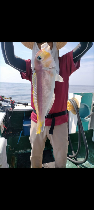 8月釣果です