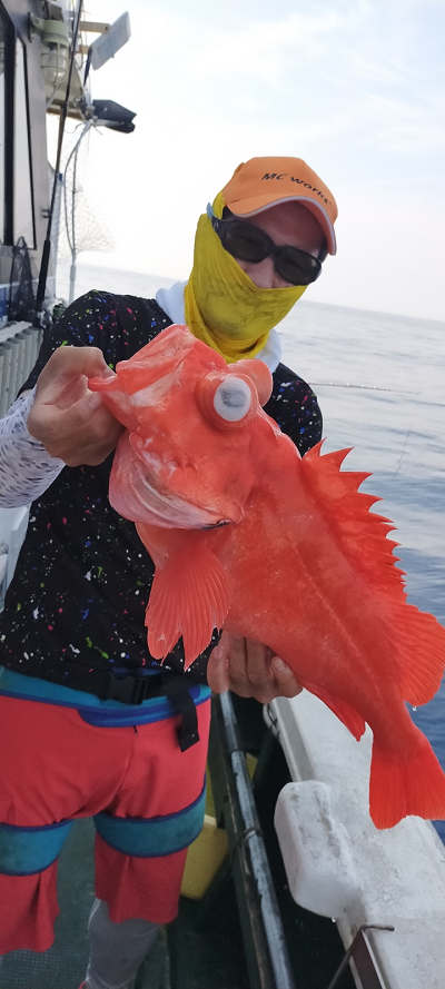 8月釣果です