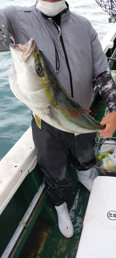 8月釣果です