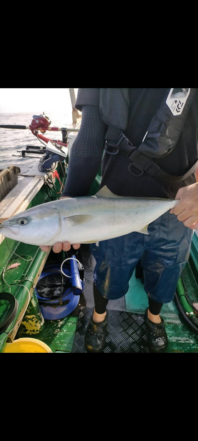9月釣果です