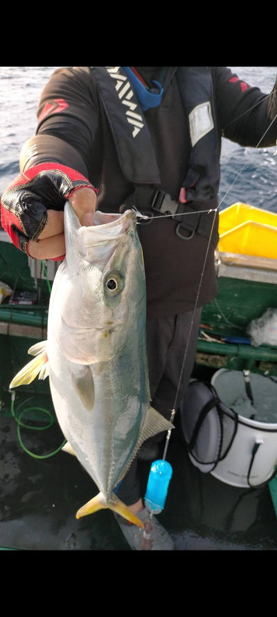 9月釣果です