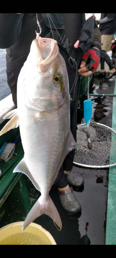 9月釣果です