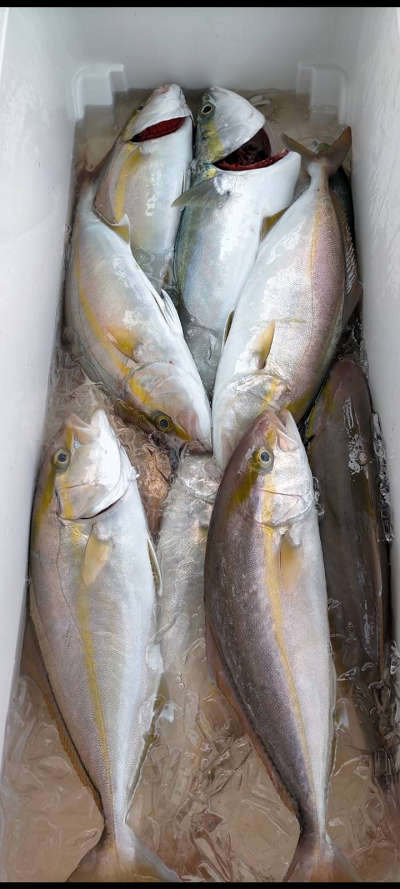 10月釣果です
