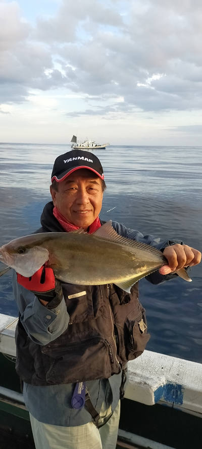 11月釣果です