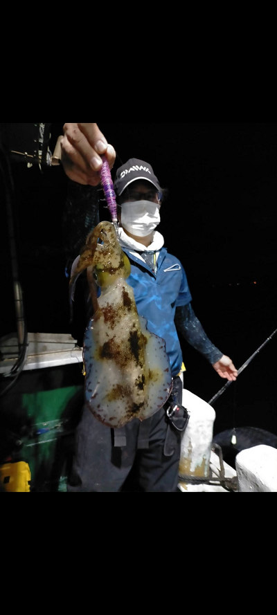 11月釣果です