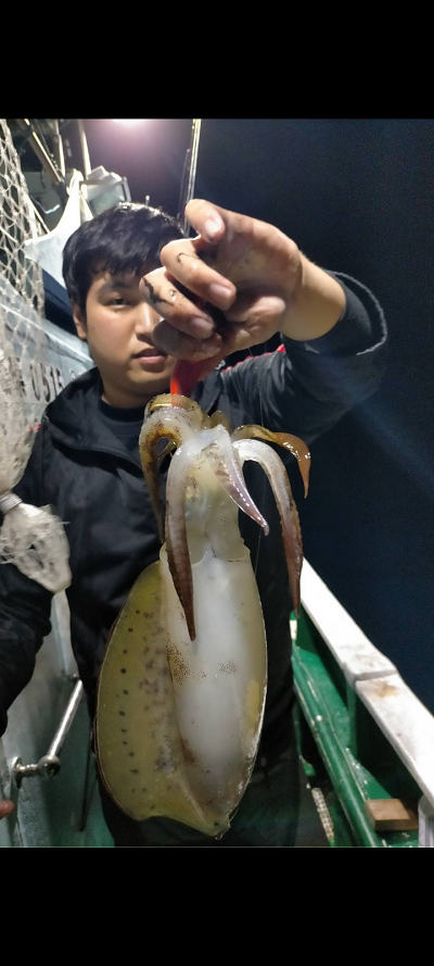 11月釣果です