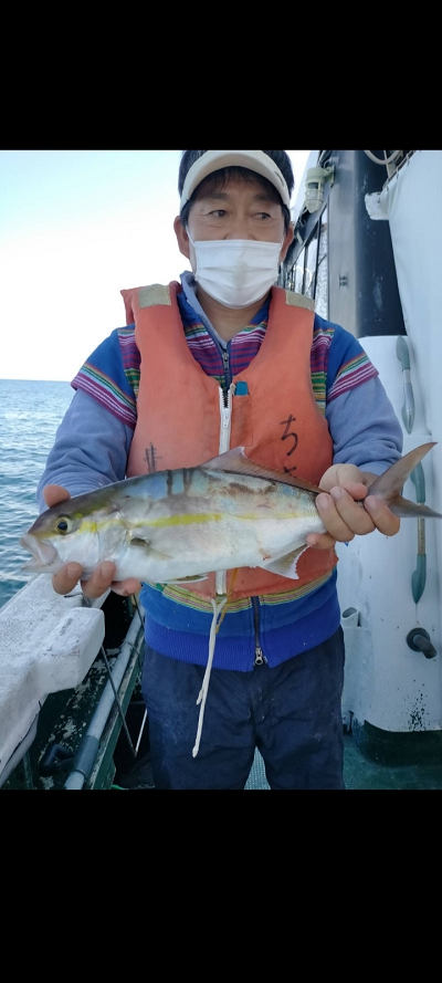 11月釣果です