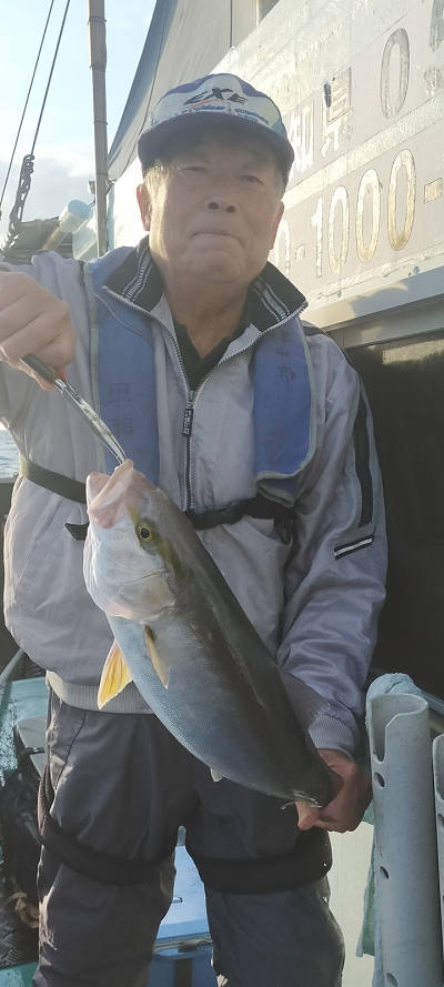 11月釣果です