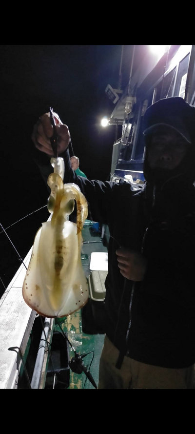 11月釣果です