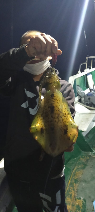 11月釣果です