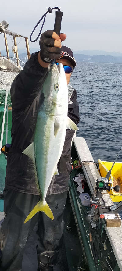 11月釣果です