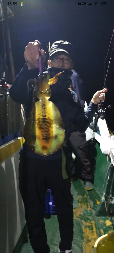 11月釣果です