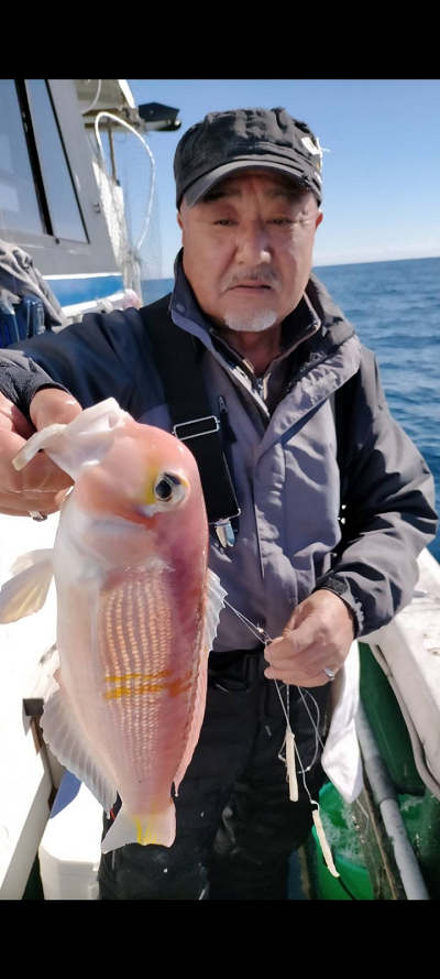 11月釣果です