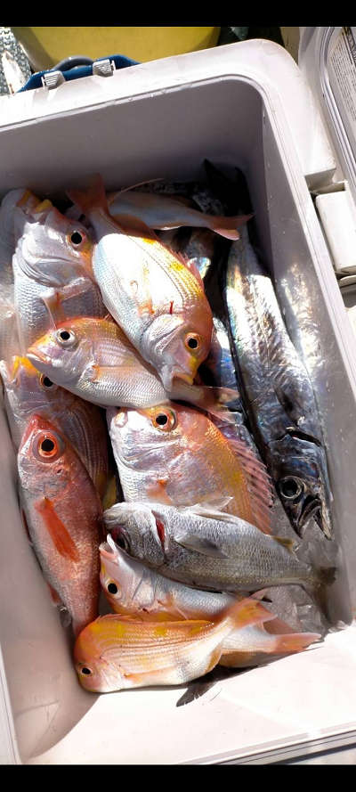 中深海 アカムツ・クロムツ・甘鯛釣り