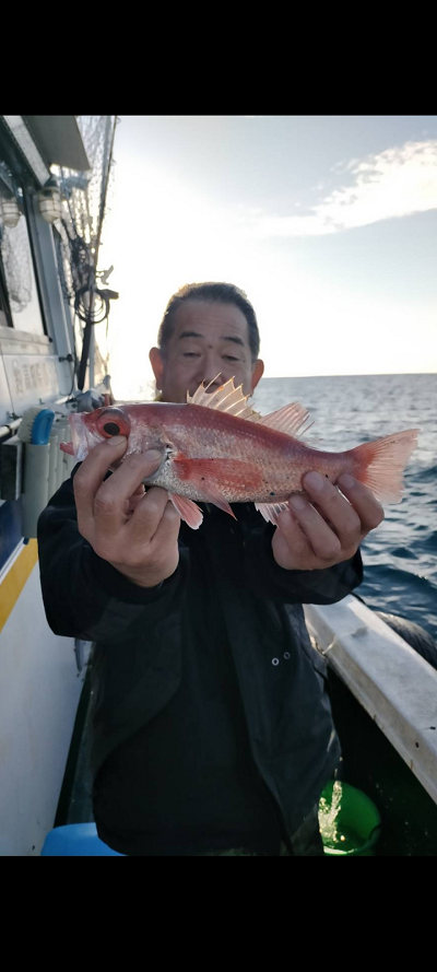 12月釣果です