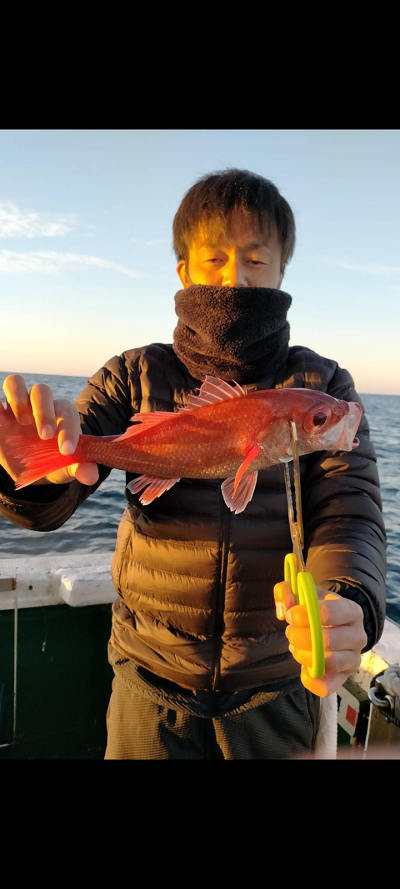 12月釣果です