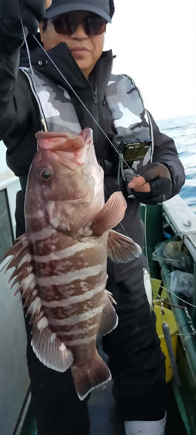 12月釣果です