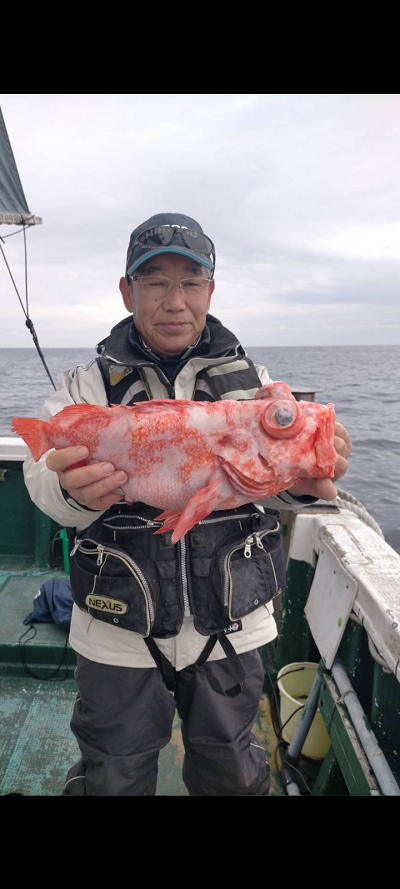 12月釣果です
