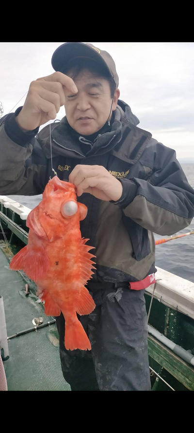 12月釣果です