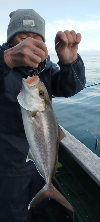 2月釣果です