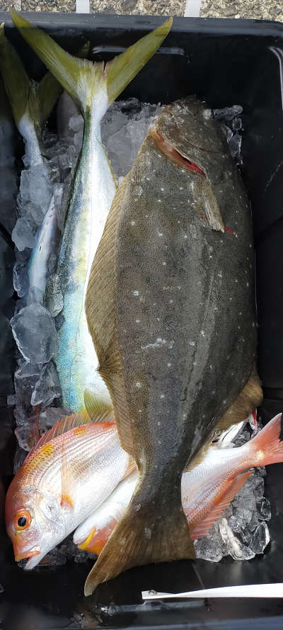 2月釣果です