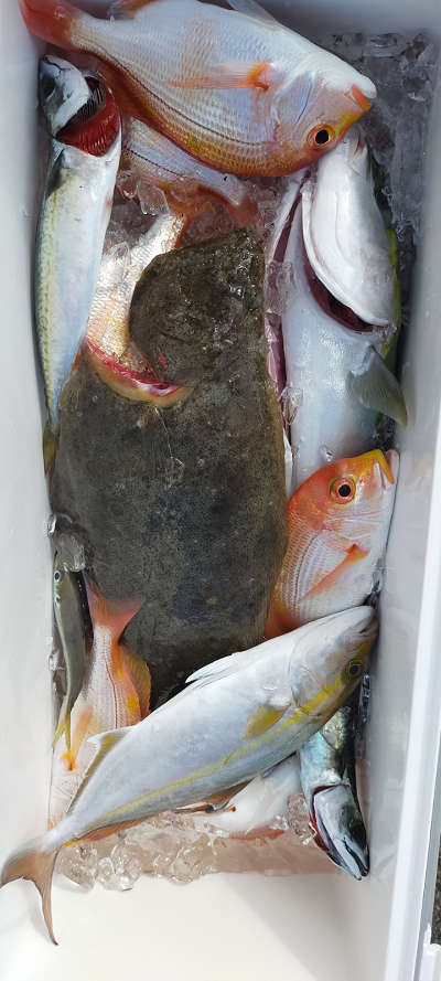 2月釣果です