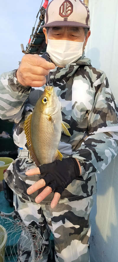 5月釣果です