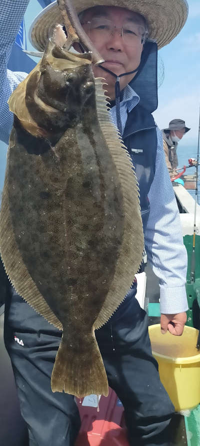 5月釣果です