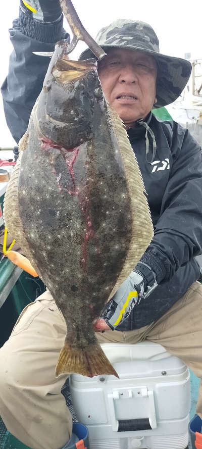 5月釣果です