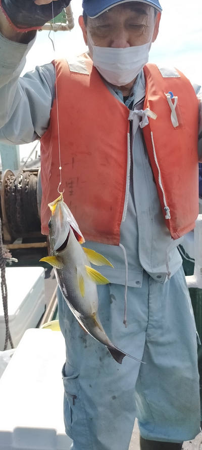 5月釣果です
