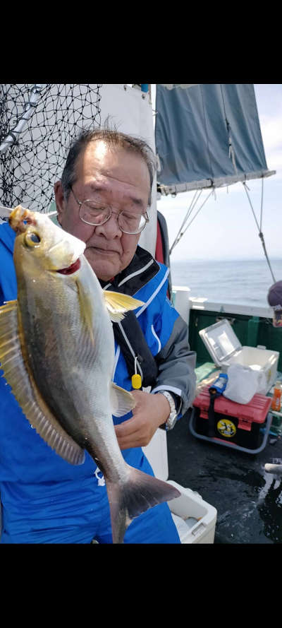 5月釣果です