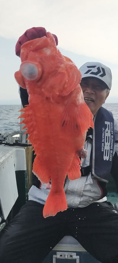 6月釣果です