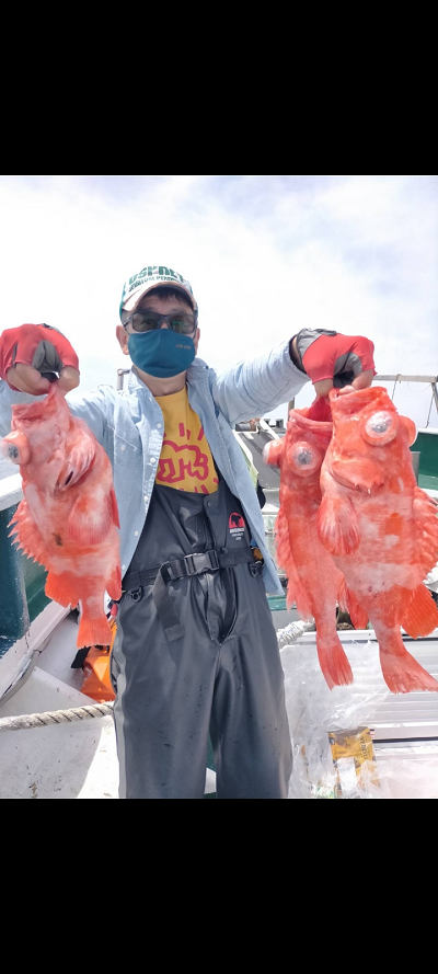 6月釣果です