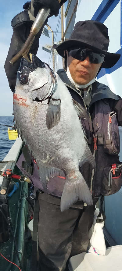 6月釣果です