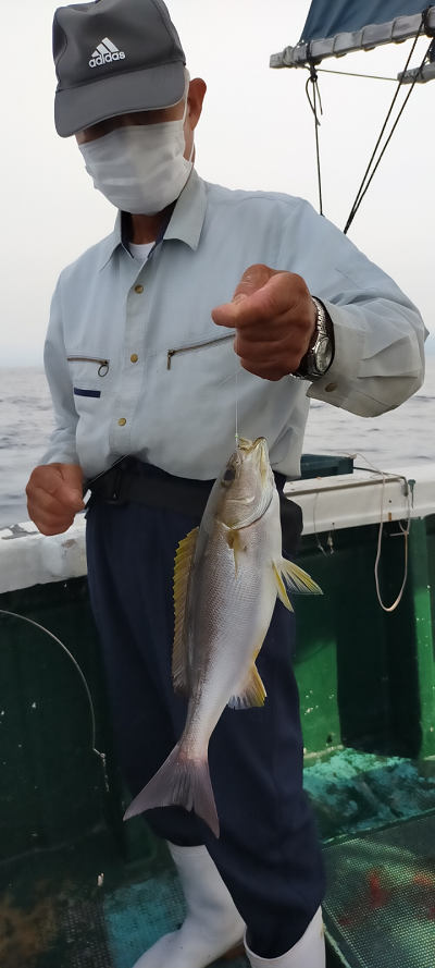 6月釣果です
