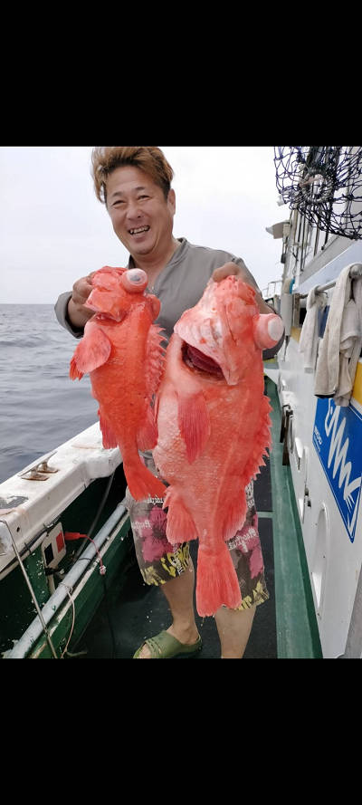 6月釣果です