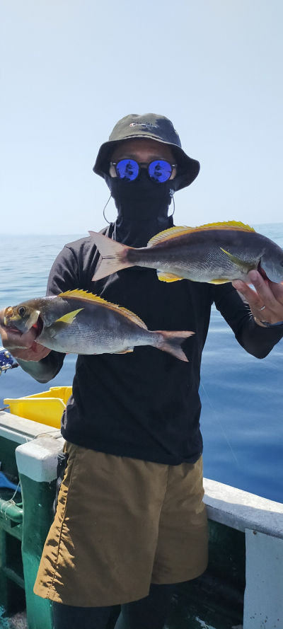 6月釣果です