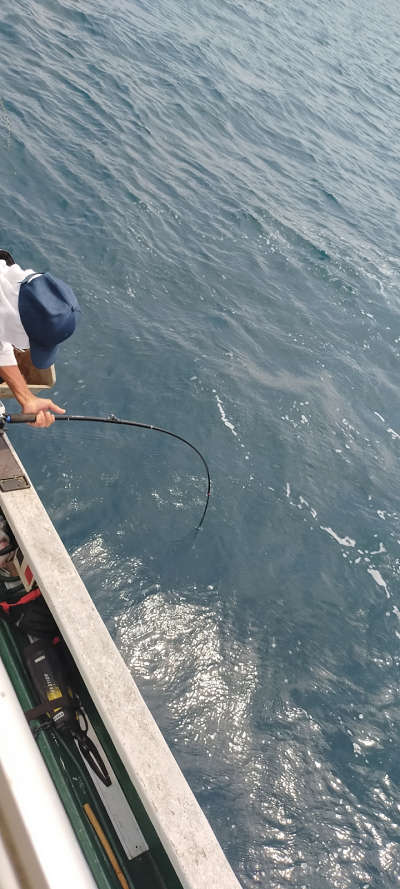 7月釣果です