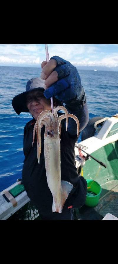 8月釣果です