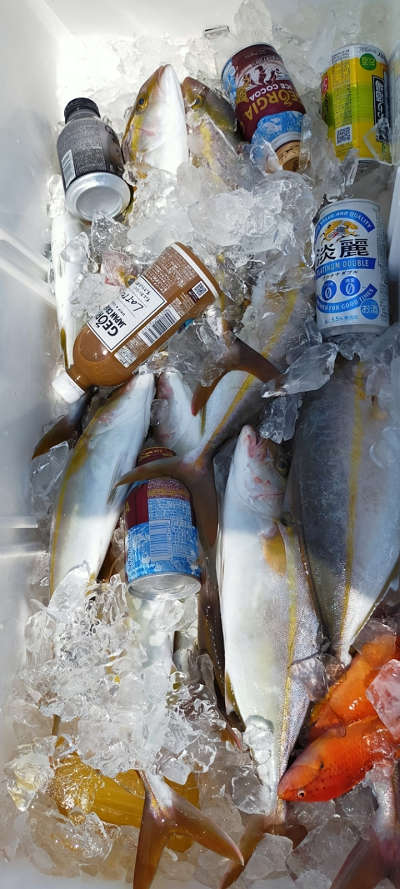 9月釣果です