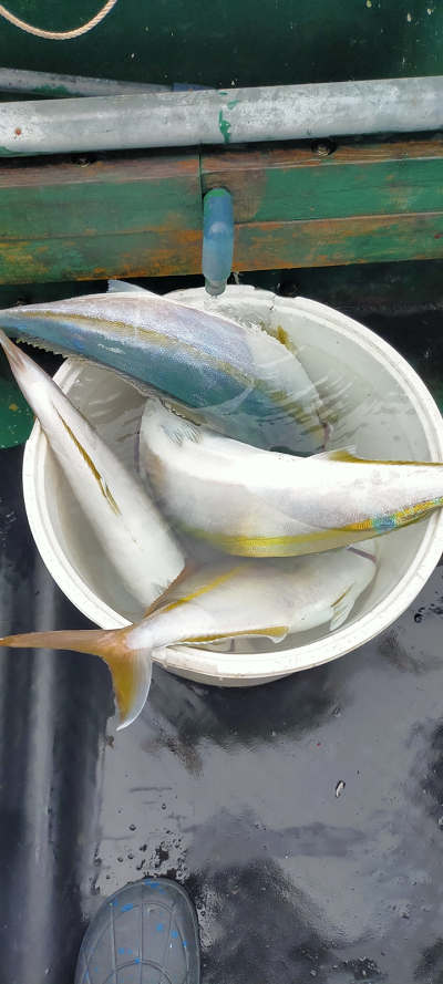 9月釣果です