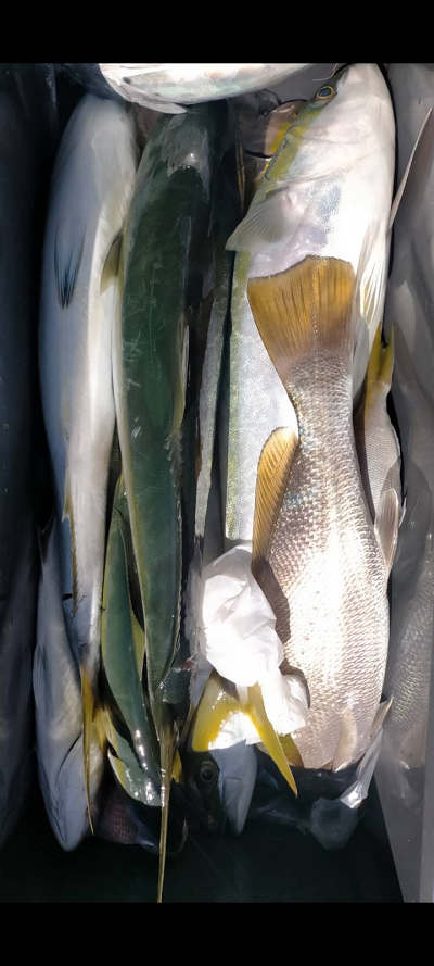 10月釣果です