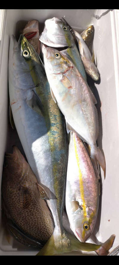 10月釣果です