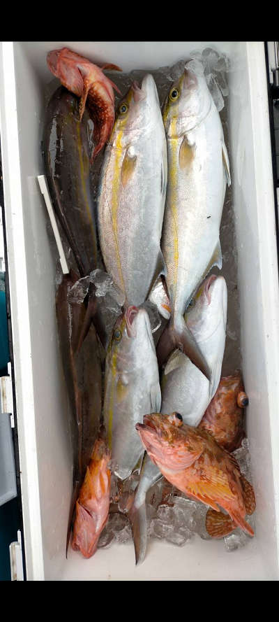 2月釣果です