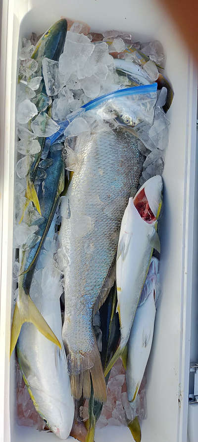 10月釣果です
