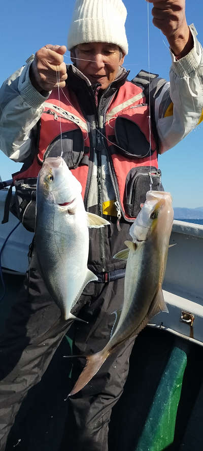 12月釣果です