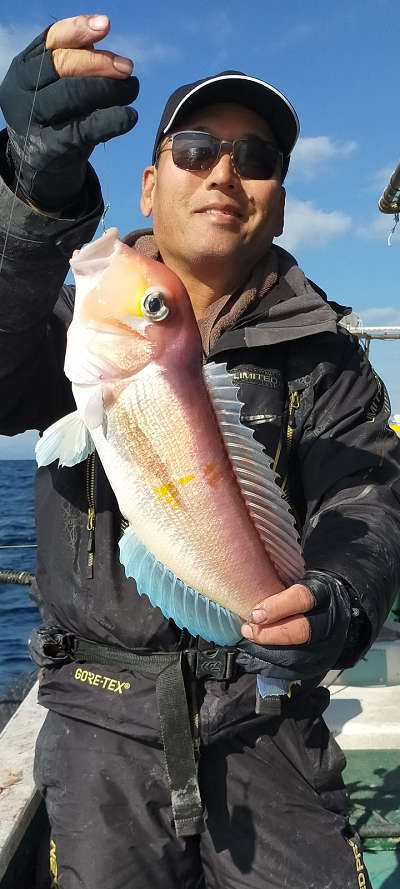 12月釣果です