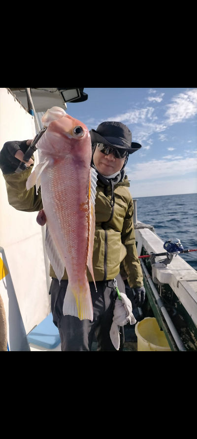 12月釣果です
