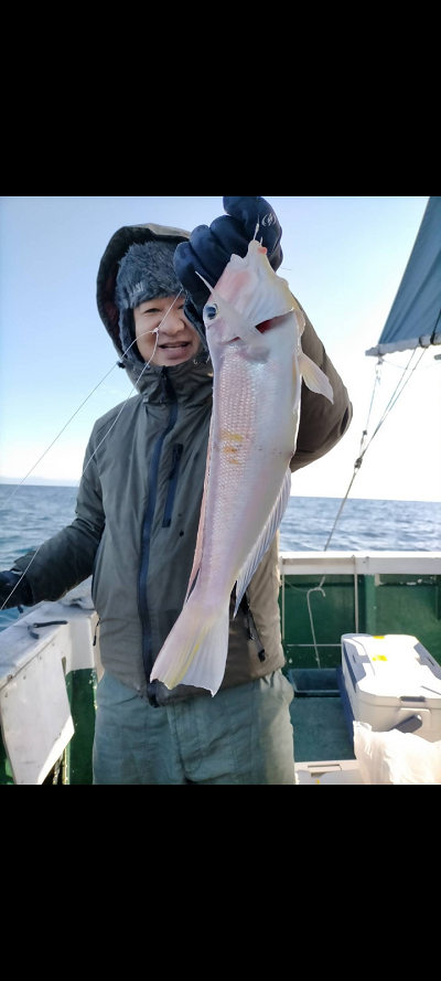 12月釣果です